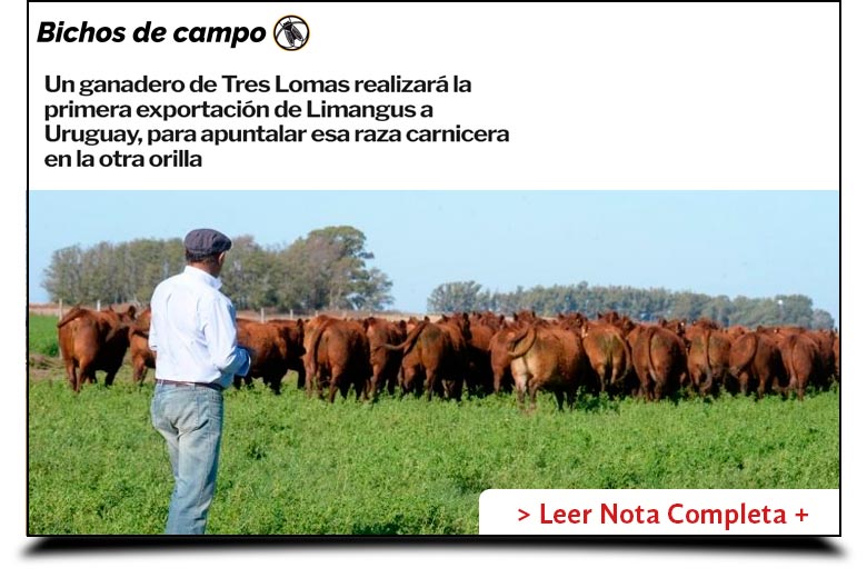 Los Pirulos