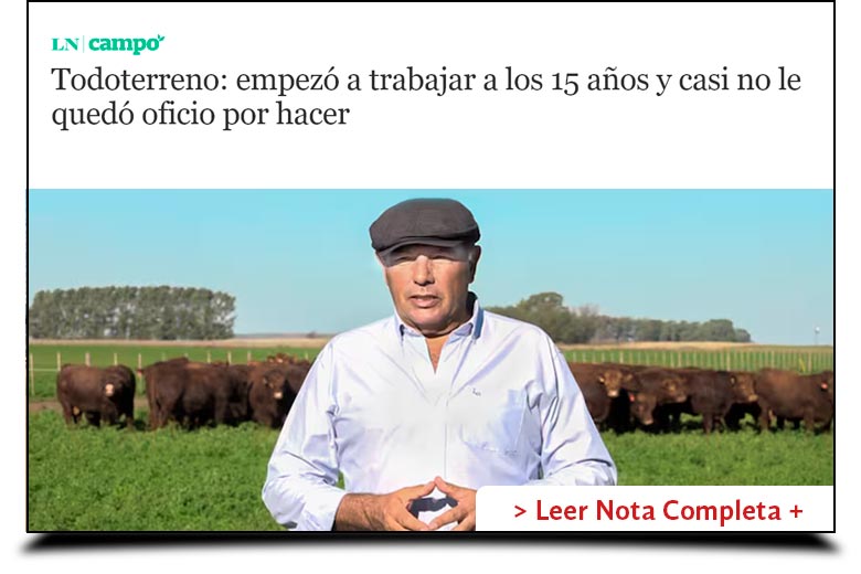 Los Pirulos