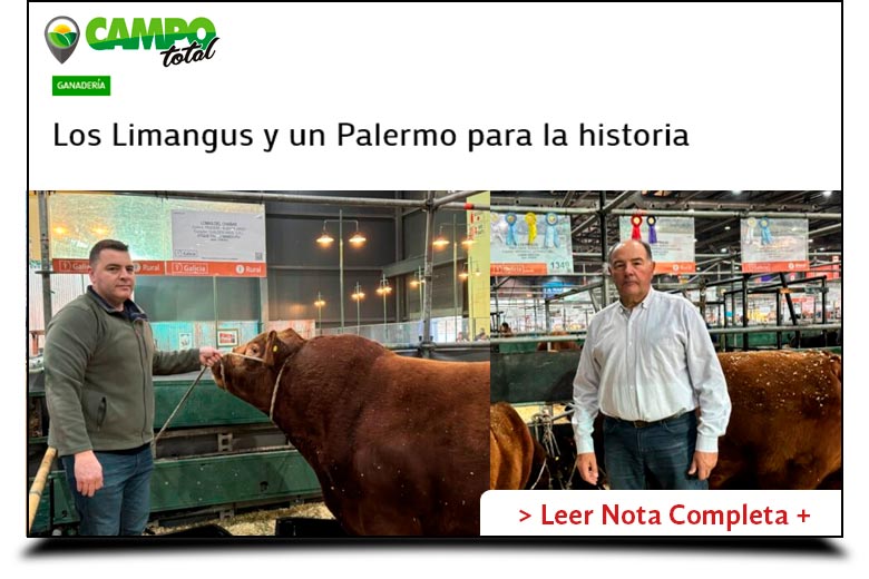 Los Pirulos