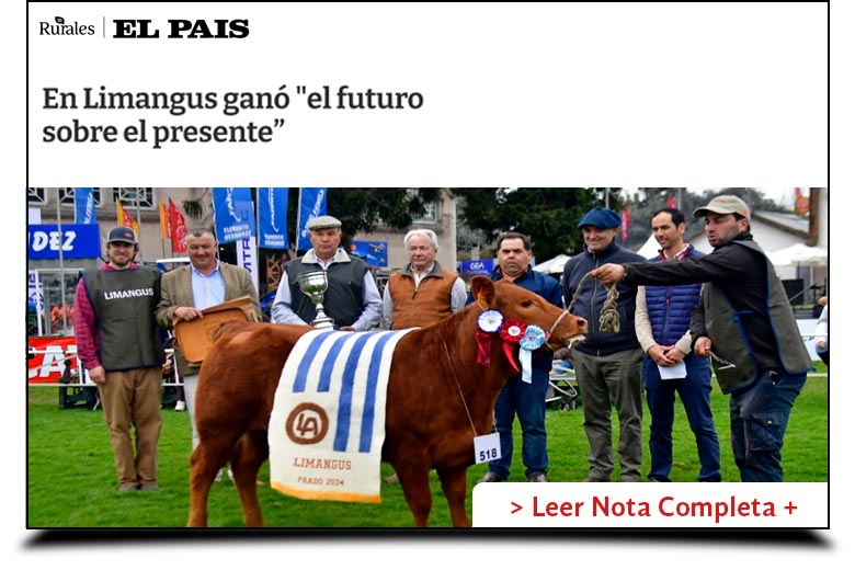Los Pirulos