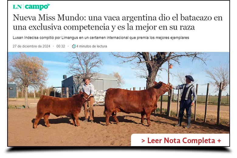 Los Pirulos