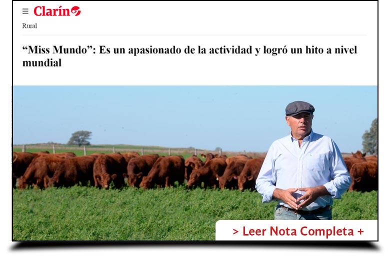 Los Pirulos