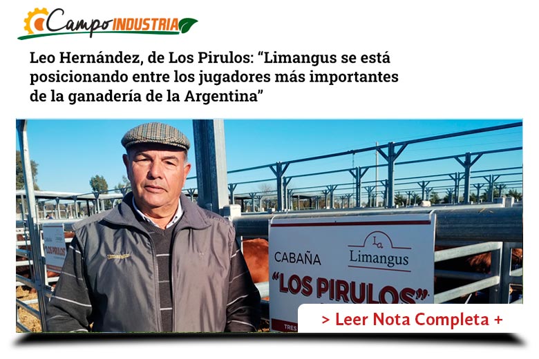 Los Pirulos