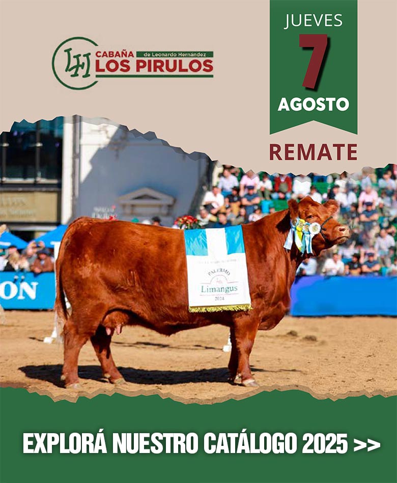 Catálogo 2025
