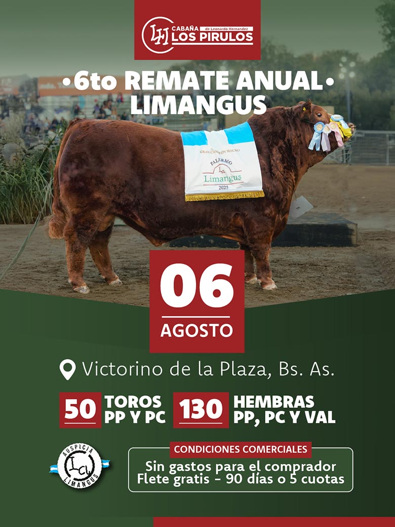 Remate 06 de Agosto 2026